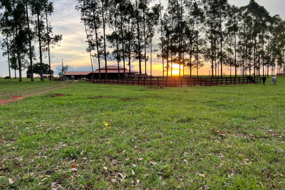 Chácara 20000m Umuarama-PR 344