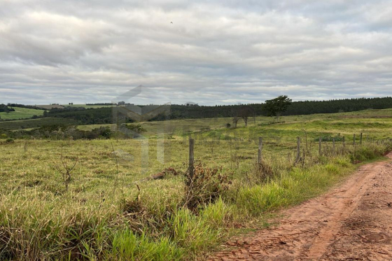 Terreno 121m Alto Piquiri-PR 387