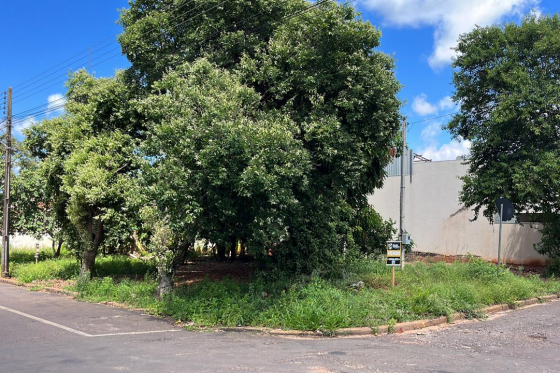 Terreno 600m Alto Piquiri-PR 311